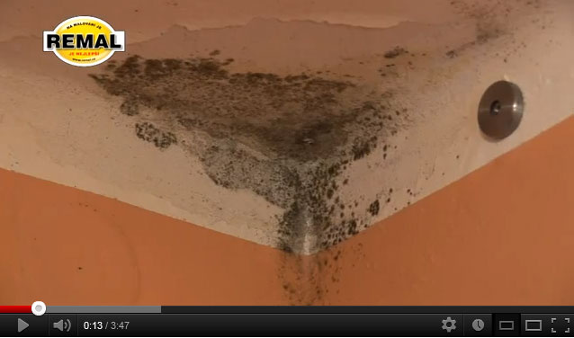 REMAL PROTIPLÍSŇOVÝ | video