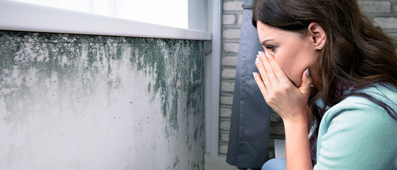 BOJ PROTI PLÍSNÍM v interiéru se vyplatí - VŽDYCKY!