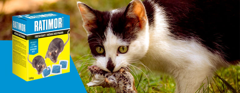 Nejpřitažlivější nástrahy pro hlodavce Ratimor
