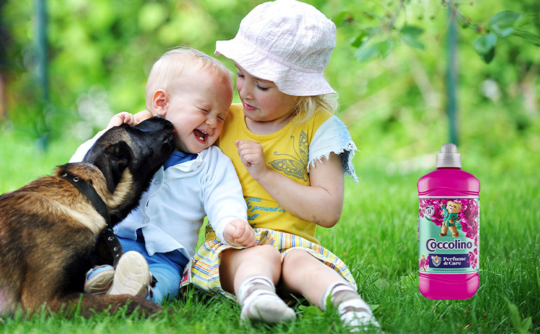 Coccolino – Měkkost a vůně, kterou si zamilujete!