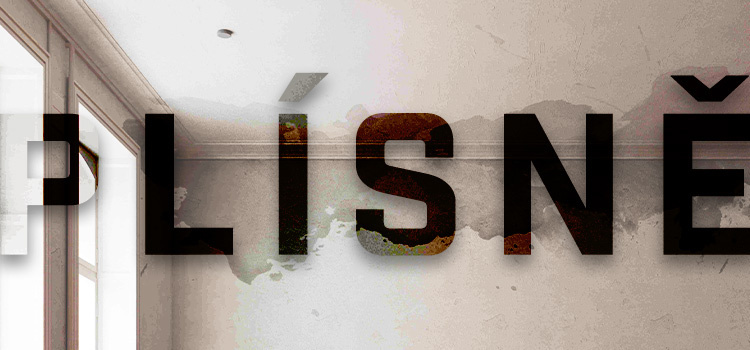 Zdravý domov bez plísní