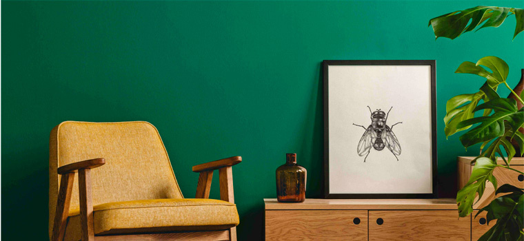 Barva roku 2026 se jmenuje Transformative Teal