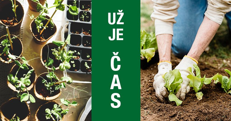 Jarní práce na zahrádce