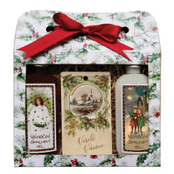 Bohemia Gifts Vánoční dárkový set sprchové gely 2× 100 ml + vonná kartička jablko a skořice