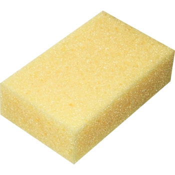 Houba tabulová 11 × 18 × 5 cm