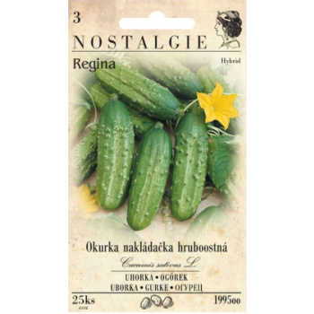 Nohel Garden okurka nakládaná hruboostná, 25 semen