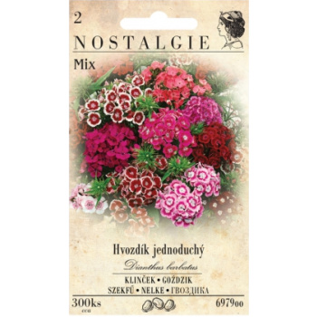 Nohel Garden hvozdík jednoduchý, 300 semen