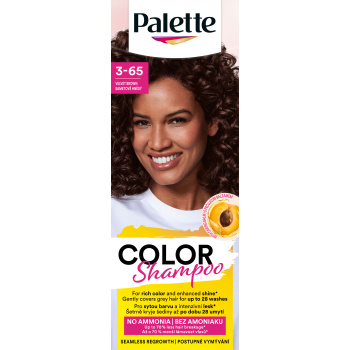 Schwarzkopf Palette Color Shampoo barva na vlasy 244 čokoládově hnědá 50 ml