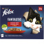Felix Fantastic kapsičky pro kočky výběr v želé, 24× 85 g