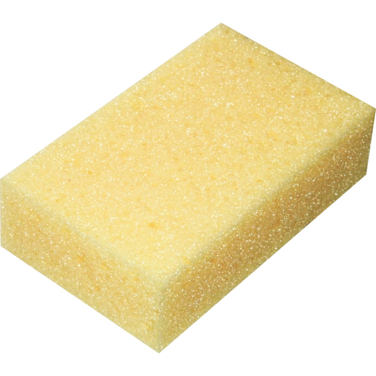 Houba tabulová 11 × 18 × 5 cm