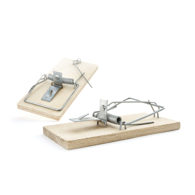 Past na myši, klasická, 1 kus