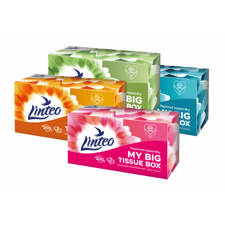 Linteo papírové kapesníky 2vrstvé box, 200 ks