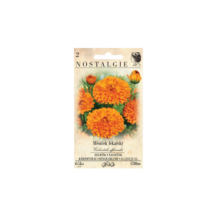 Nohel Garden měsíček lékařský, 65 semen