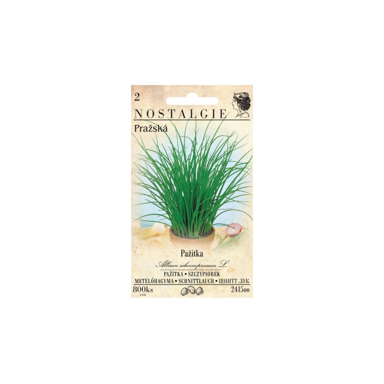 Nohel Garden pažitka pražská, 800 semen