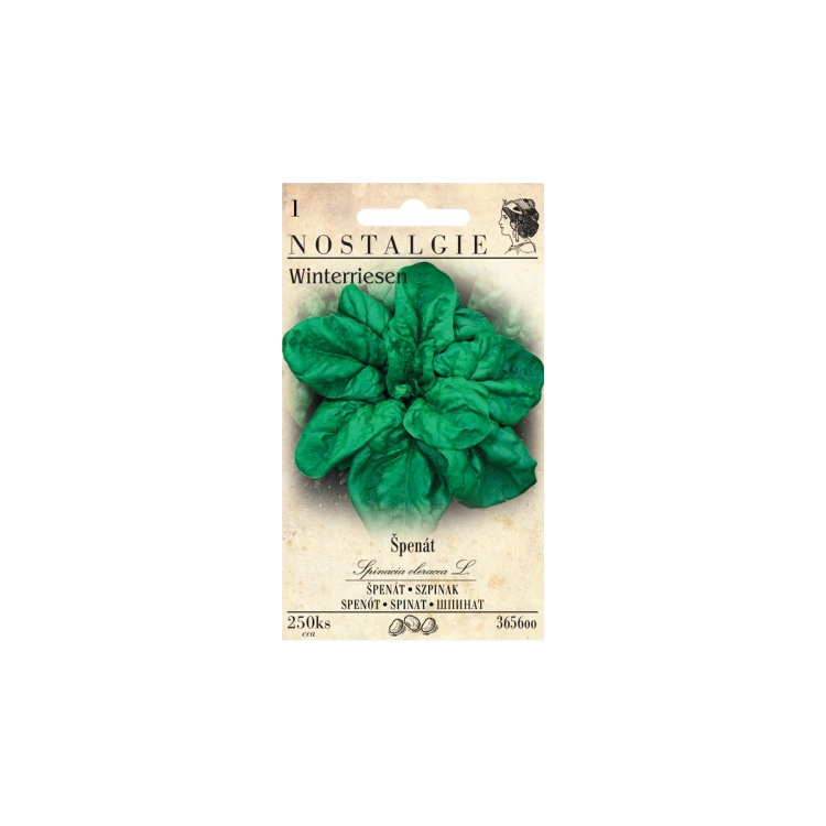 Nohel Garden špenát setý, 250 semen