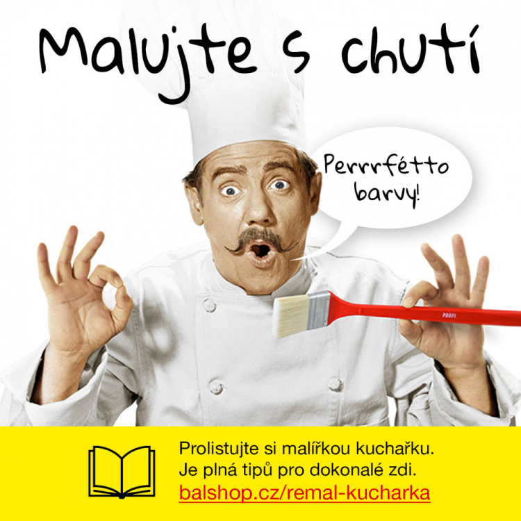 REMAL Color malířská barva na zeď