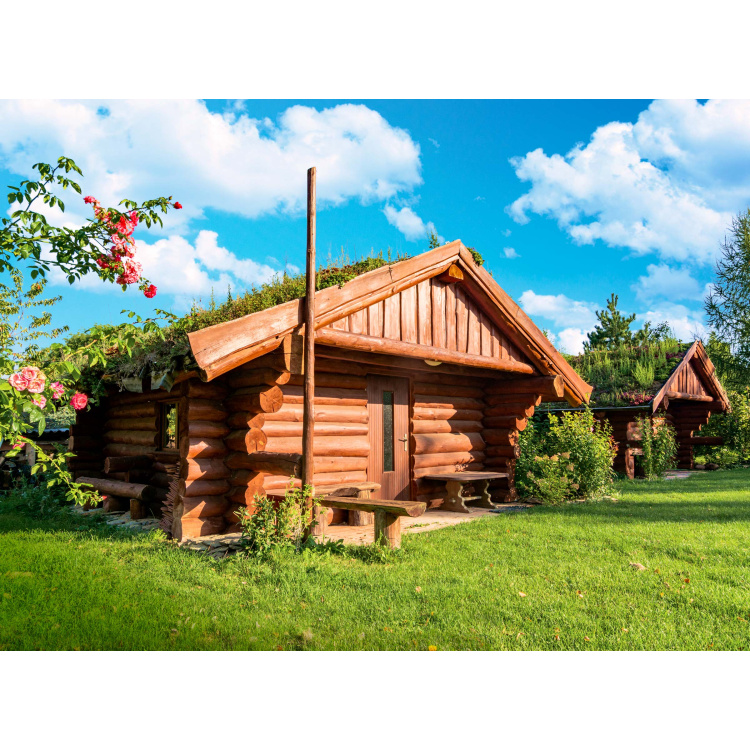 Detecha Karbolineum Extra 3v1 barva na dřevo