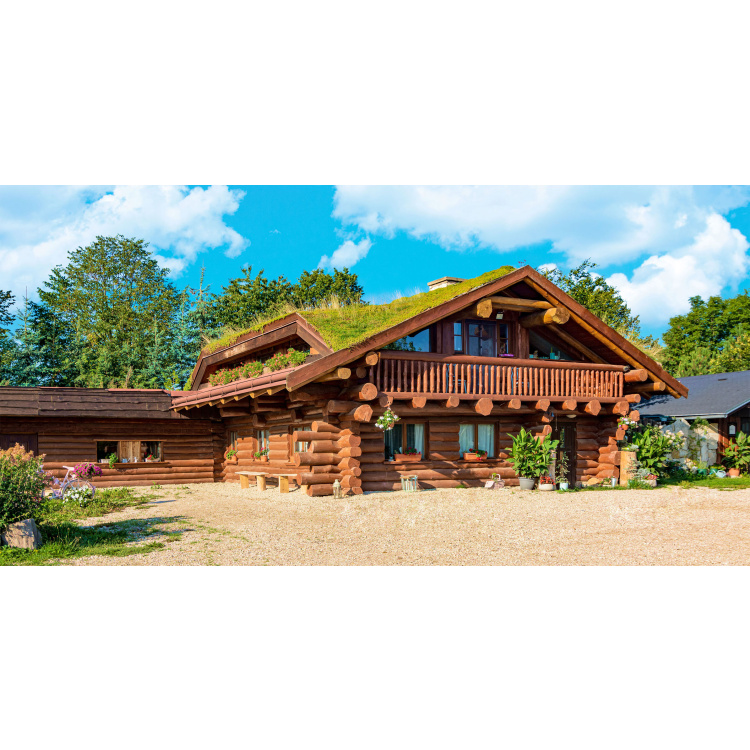 Detecha Karbolineum Extra 3v1 barva na dřevo