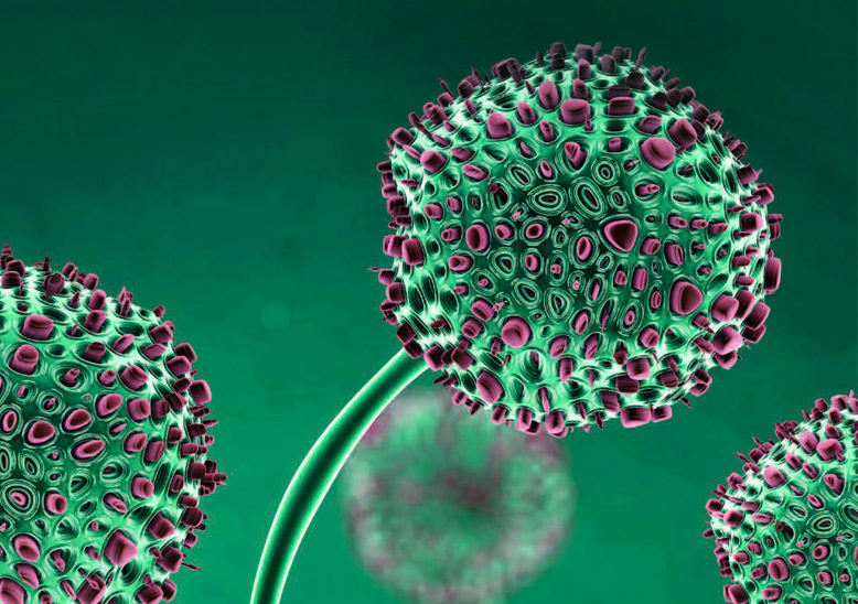 5. díl - REMAL COLOR Oranž