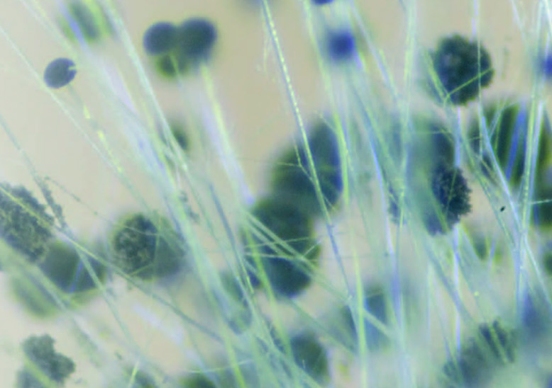 Mňamóóóznííí barvičky!