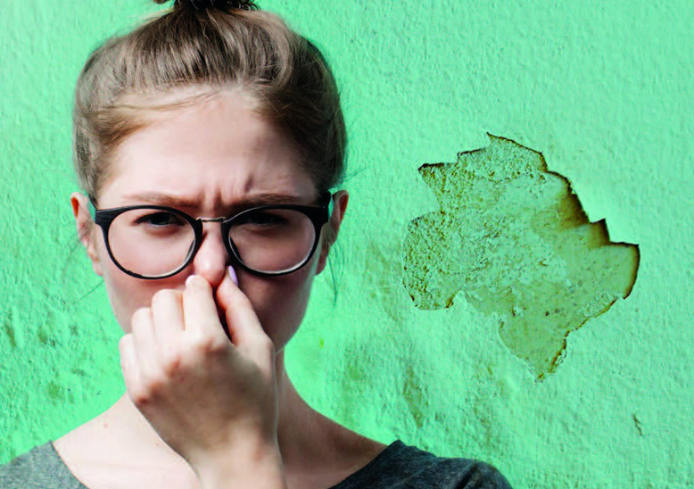 Prastaré komiksy jsou kompletním vyprávěním příběhů bez písmen.