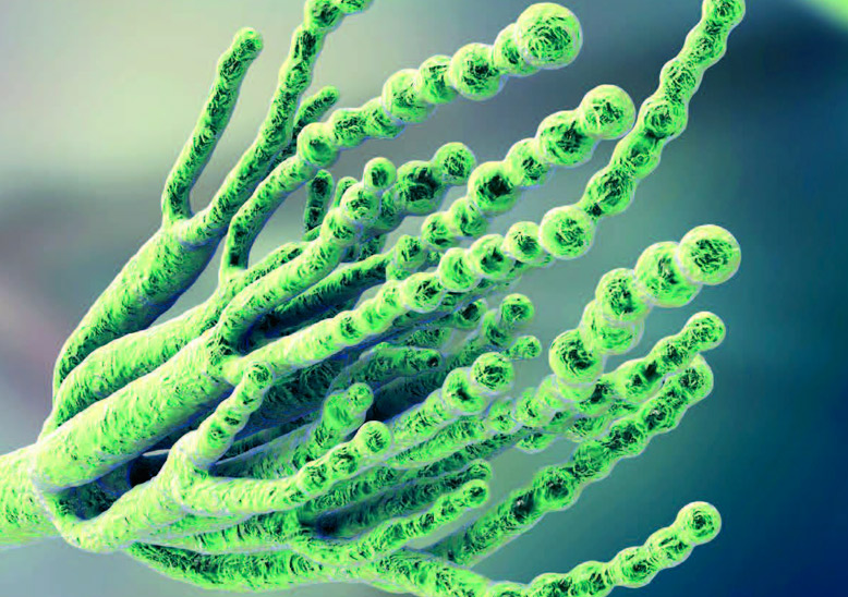 Oranž je symbolem KOMUNIKACE