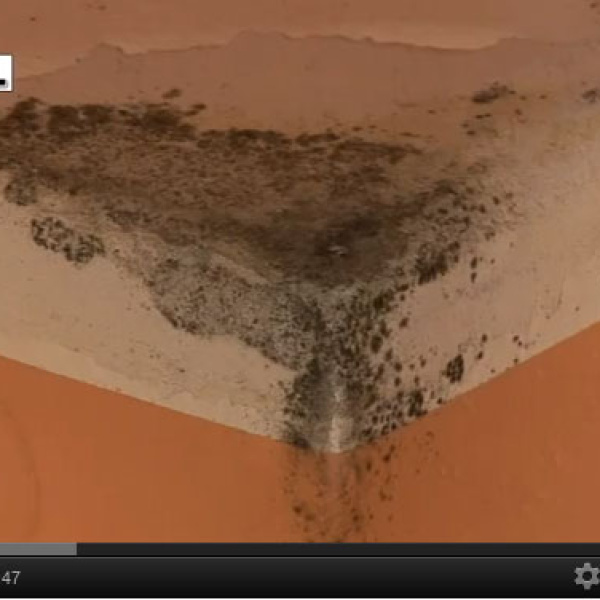 REMAL PROTIPLÍSŇOVÝ | video