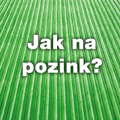 Jak a kdy natírat pozink?