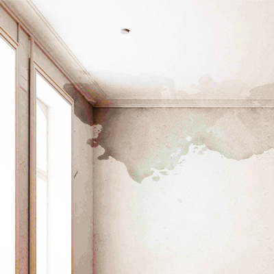 Zdravý domov bez plísní