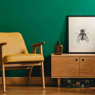 Barva roku 2026 se jmenuje Transformative Teal