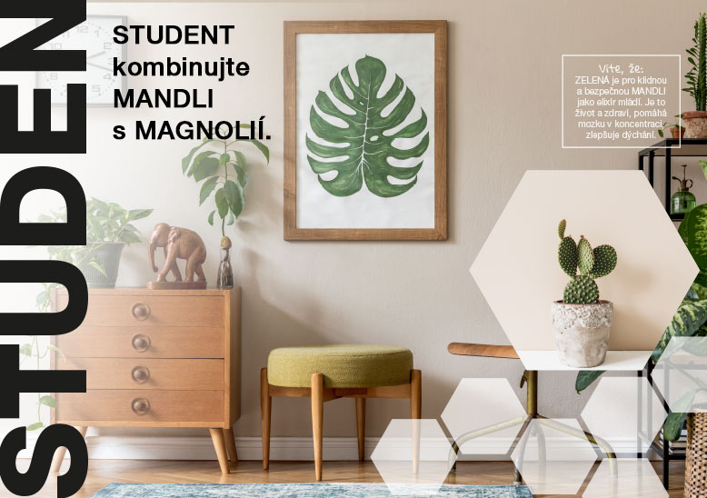 STUDENT - kombinujte MANDLI s&nbsp;MAGNOLIÍ. 