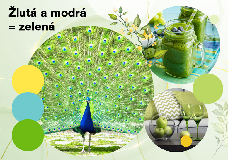 Žlutá a modrá = zelená
