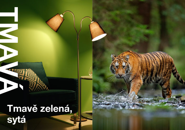 Tmavě zelená, sytá