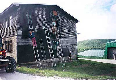 Povrchová úprava dřevěného pláště budovy